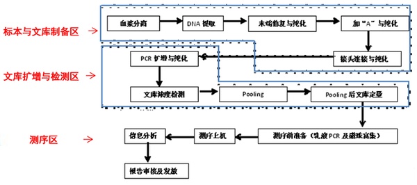 基因实验室平面布局工作流程（www.stcklaser.com）