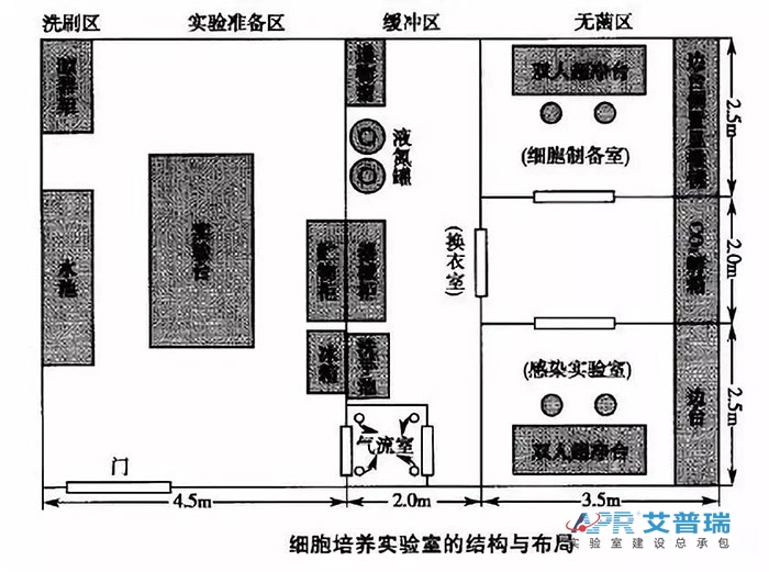 细胞培养实验室的机构与布局